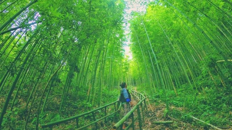 toan-tap-kinh-nghiem-du-lich-mu-cang-chai-cuc-chi-tiet-202202161119291226