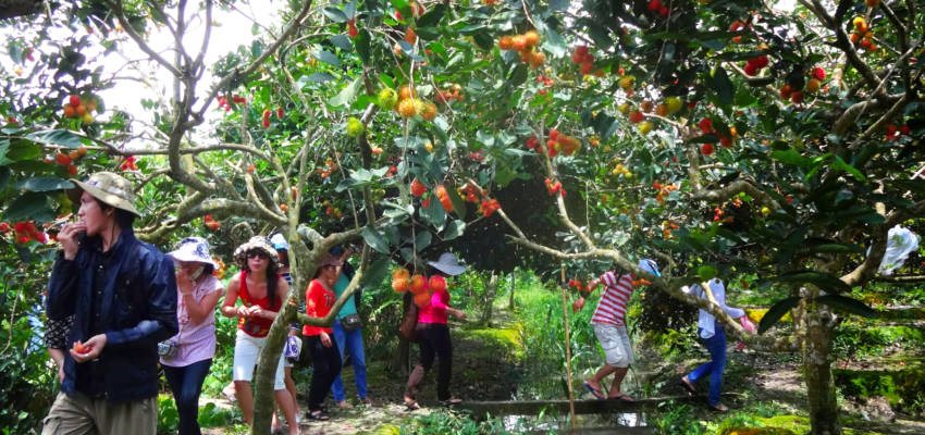 mekong-delta-tour-1-day-my-tho-ben-tre-7