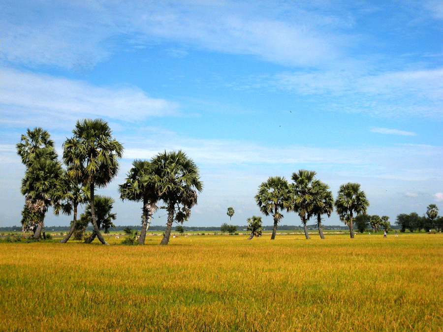 Chau Doc1