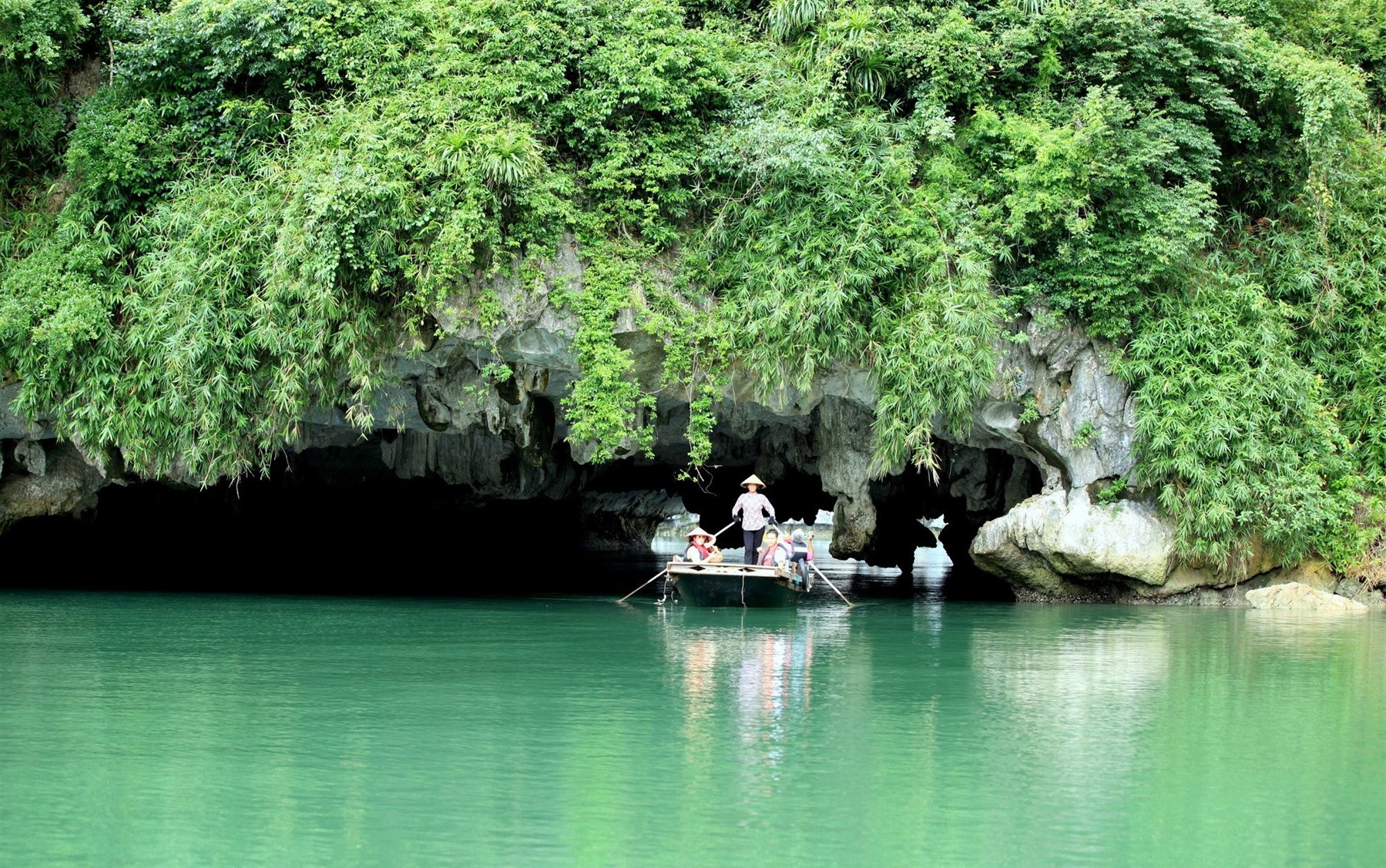 hang sang toi