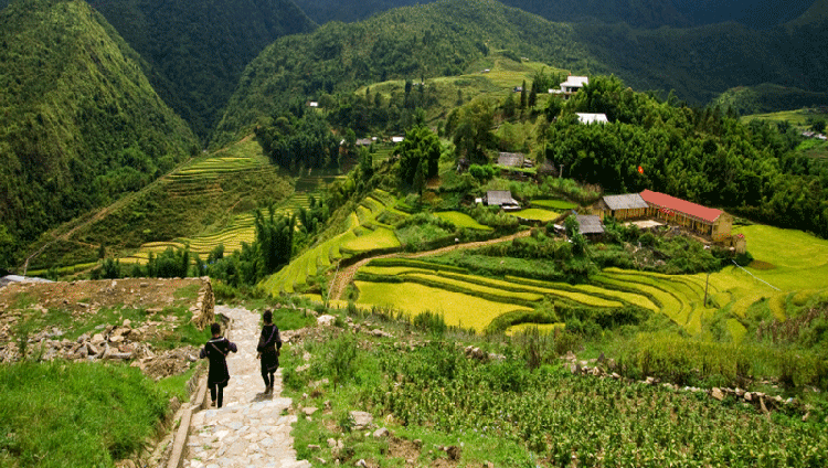 0013875_tour-trekking-y-linh-ho-lao-chai-ta-van-1-ngay-khoi-hanh-ga-lao-cai