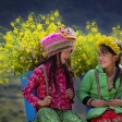 Book now SAPA, HA GIANG & BABE LAKe - 7 DAYS / 6 NIGHTS