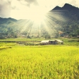 Book now Sapa Trekking & Sightseeing: Sapa - Laochai - Tavan - Catcat - Sinchai - Ma Tra - Ta Phin for 3 Days 4 Nights