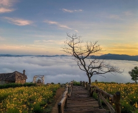 Luxury Tour Packages - picture 1
