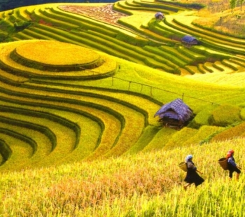 Mai Chau - Vietnam - picture 4