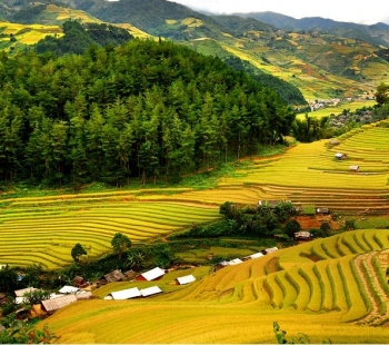 Mai Chau - Vietnam - picture 6