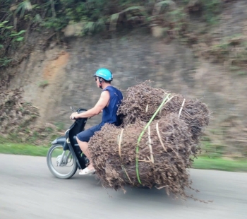 Cao Bang - Vietnam - picture 10