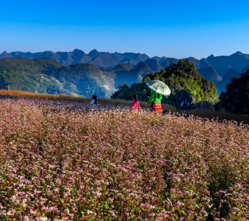 Ha Giang - Vietnam - picture 11