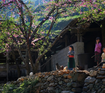 Ha Giang - Vietnam - picture 7