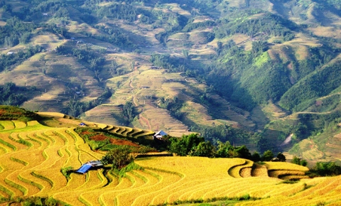 2-Night Sapa Tour with Fansipan Peak by Bus from Hanoi - ảnh 3
