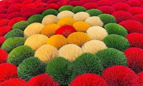Incense Village Private Tour from Hanoi to Ninh Binh Old Capital - ảnh 1