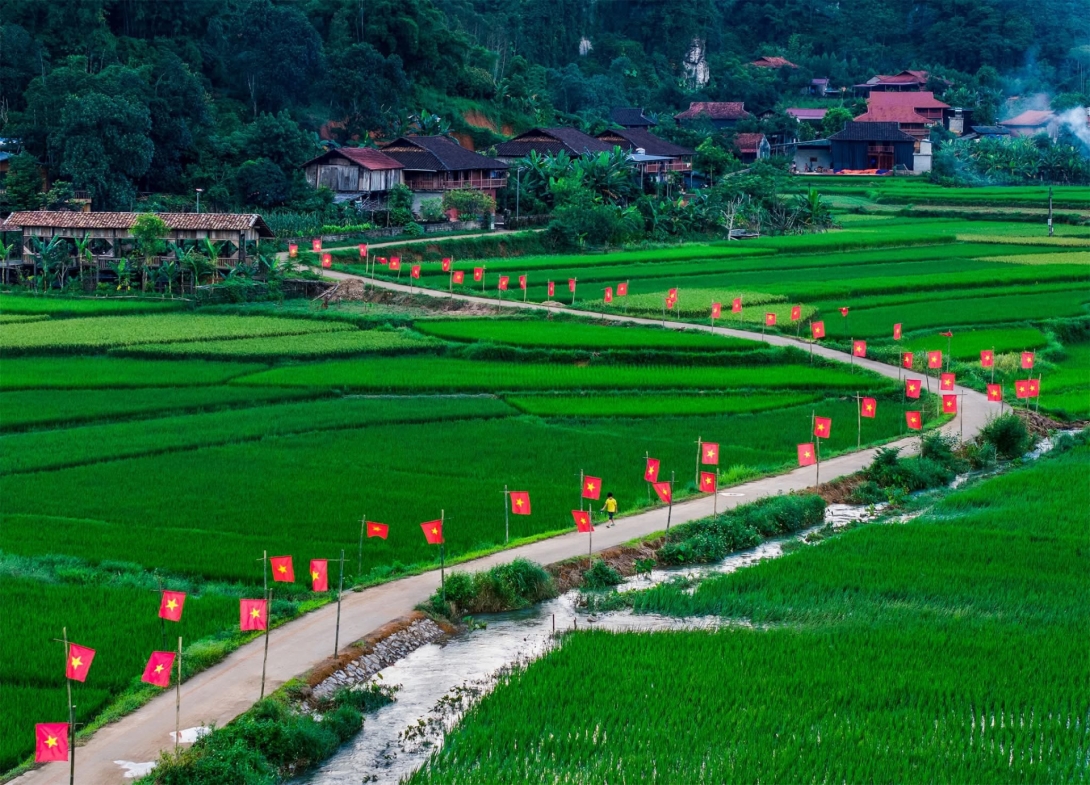 545246774_1302572948546467_3955056579847970632_n