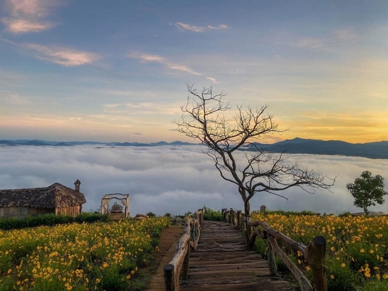 Luxury Tour Packages - picture 1