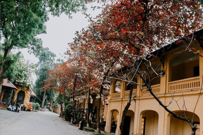 Hanoi - Vietnam - picture 8