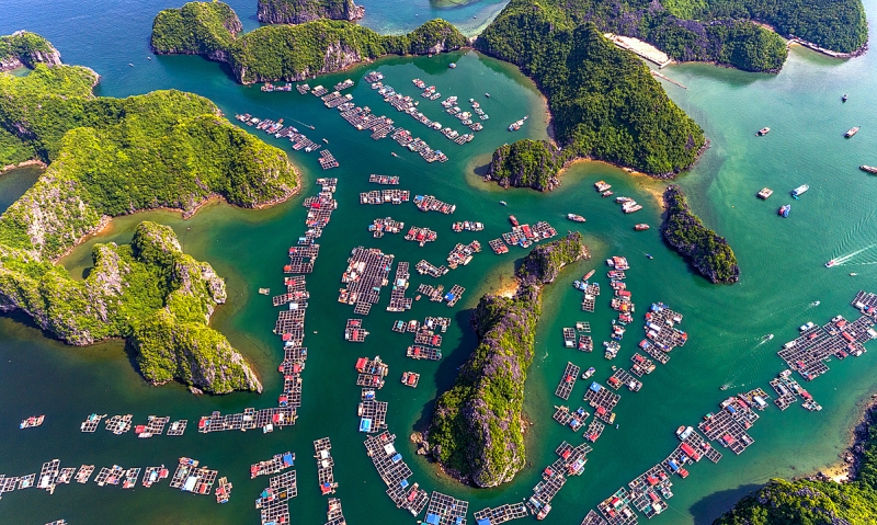 Ha Long - Vietnam - picture 5