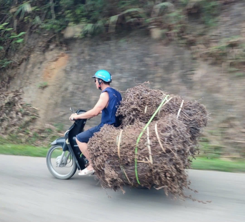 Cao Bang - Vietnam - picture 10