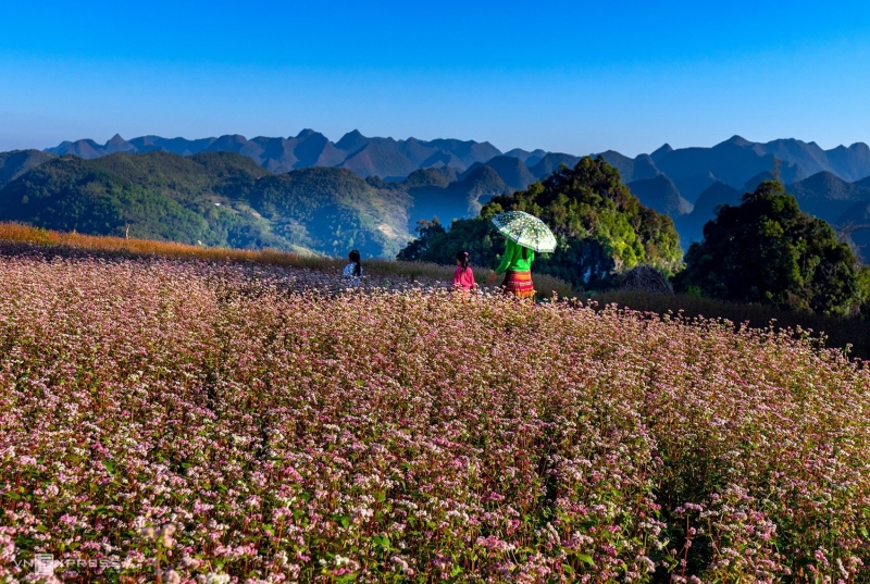 Ha Giang - Vietnam - picture 11