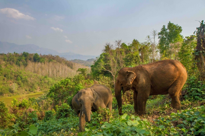 Multi-country vacations - picture 6